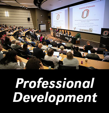 Text: Professional Development