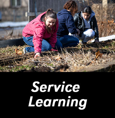 service-learning-button.jpg