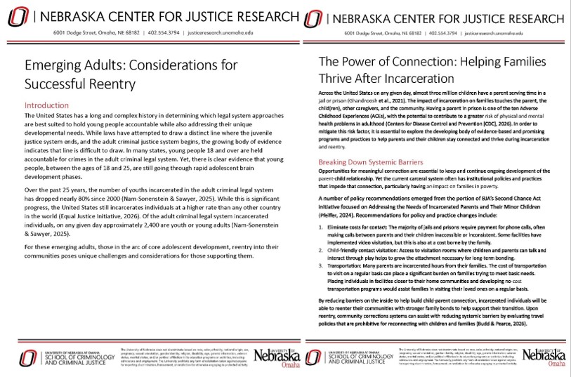 two new research briefs available