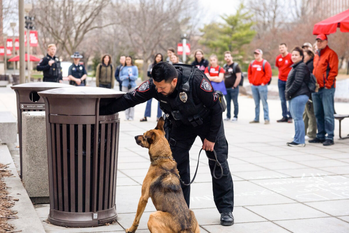 Bomb sniffing k9 with handler demonstration