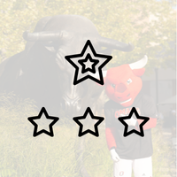 Top-Ranked Program icon