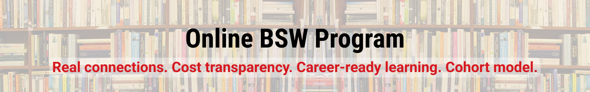 Decorative banner image with the text "Online BSW Program. Real connections. No hidden costs. Career-ready learning. Cohort model."