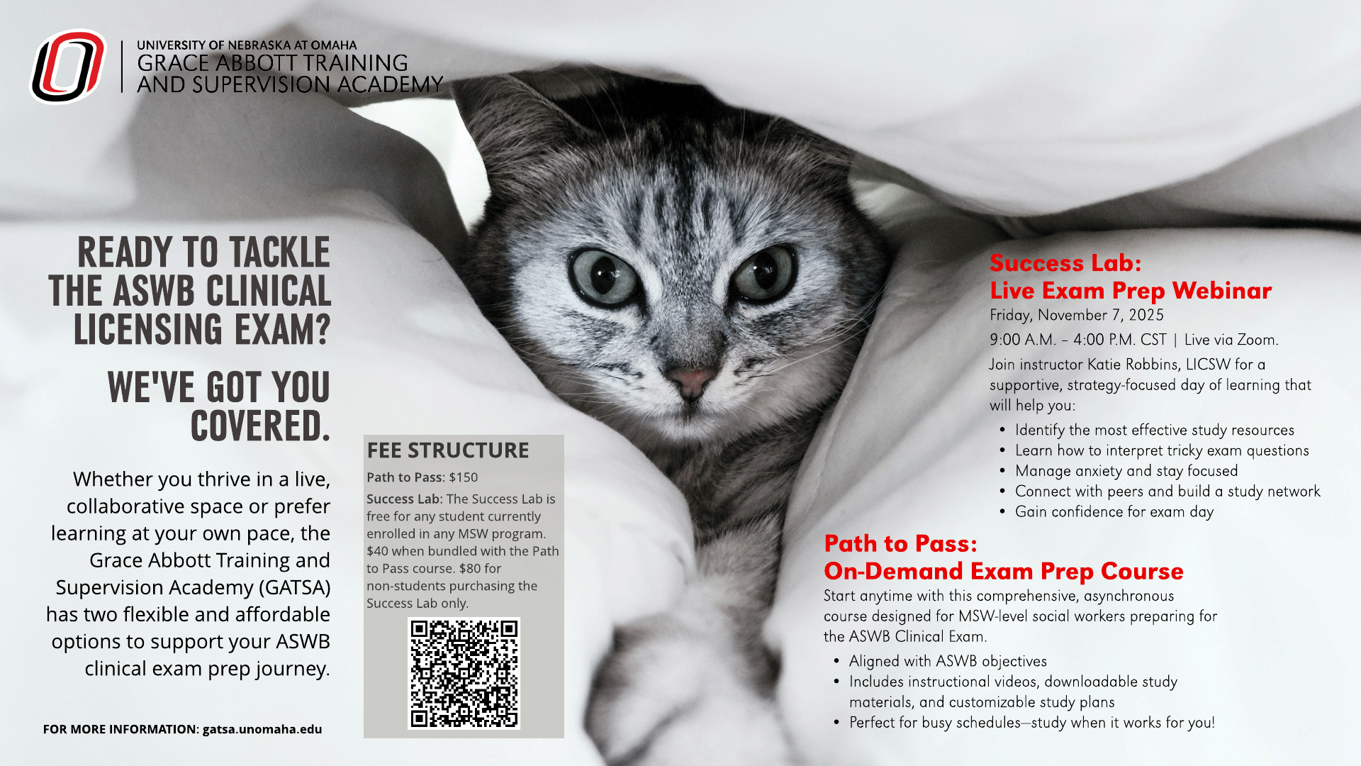 Cat in pillows with information about ASWB Clinical Licensing Exam
