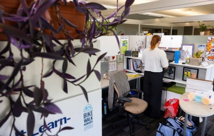 Semi-private cubicle workspace with a staff member standing at a decorated workstation surrounded by office supplies and personal items.