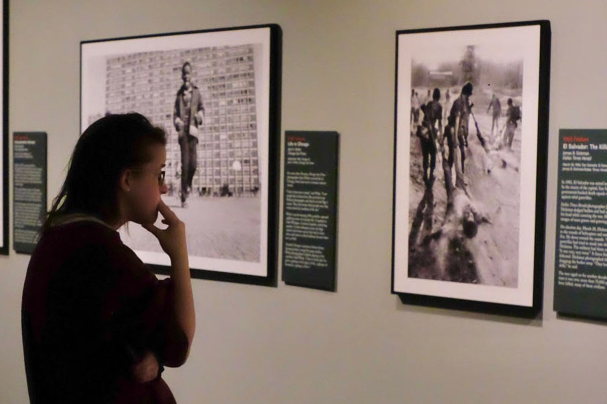 Someone looking at photography in an art gallery