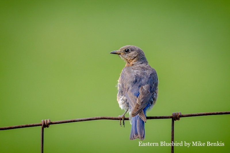 Audubon Society of Omaha Barbara Weitz Community Engagement Center