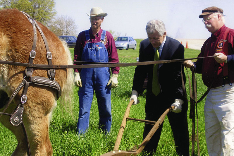 Hagel and man in wheat field