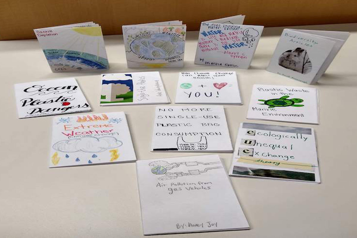 table with zine covers about environmental themes 