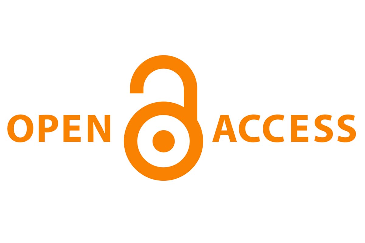 white background with the words 'open access' in orange and an open padlock between the words open and access