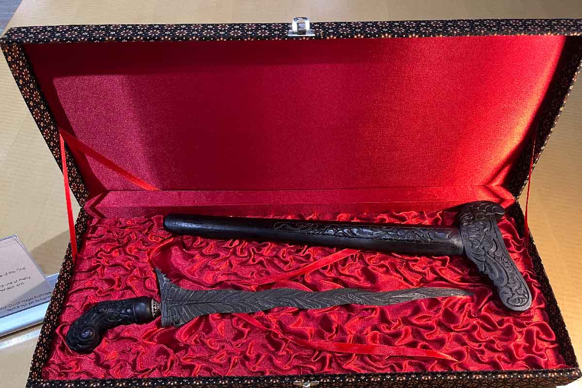 a dagger and scabbard in an open case