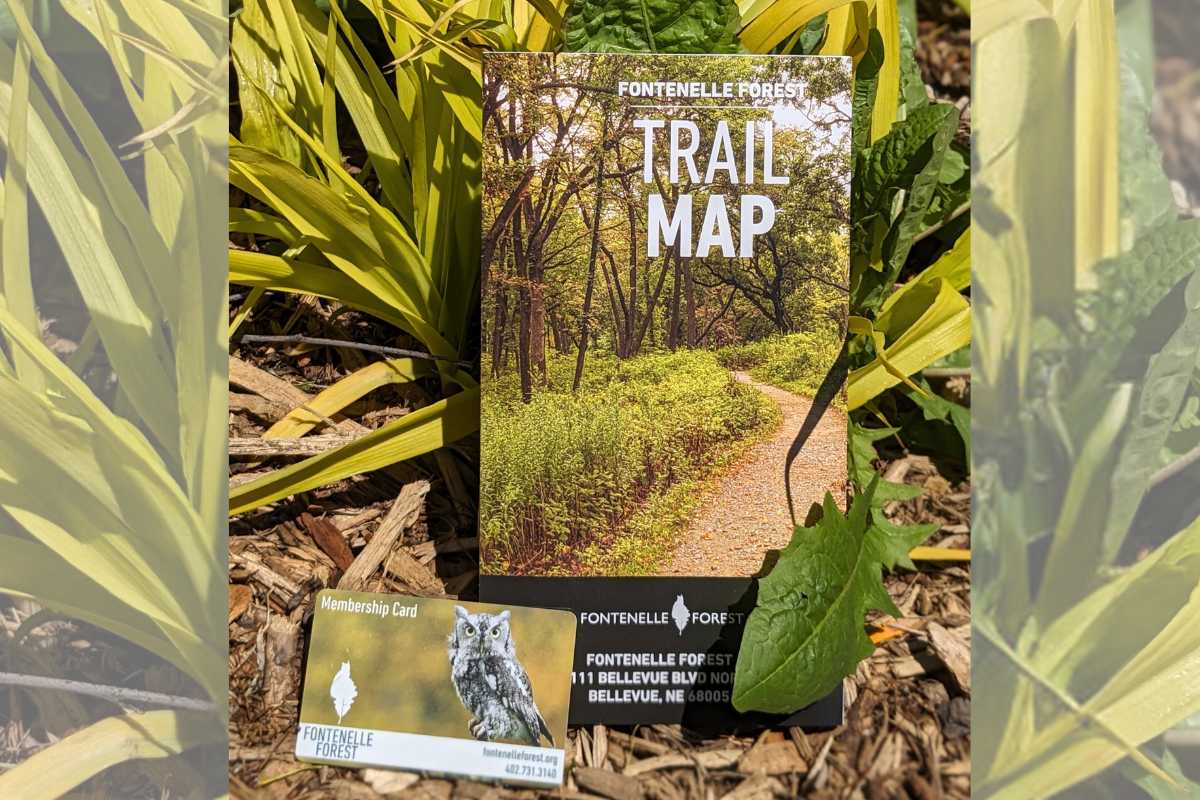 green foliage in the background with a Fontenelle Forest brochure and membership card in front of the foliage