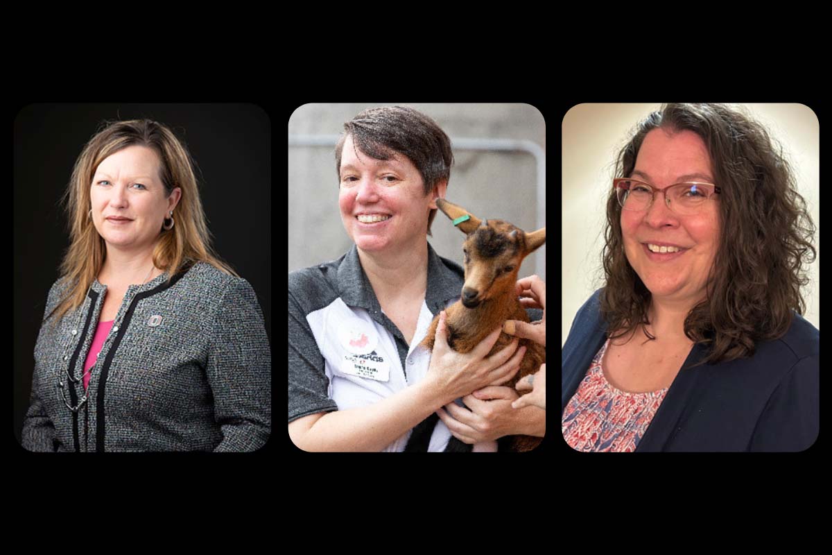 Three women in separate portrait frames; one in a grey jacket, another holding a goat, and the third wearing glasses with a blue blazer.