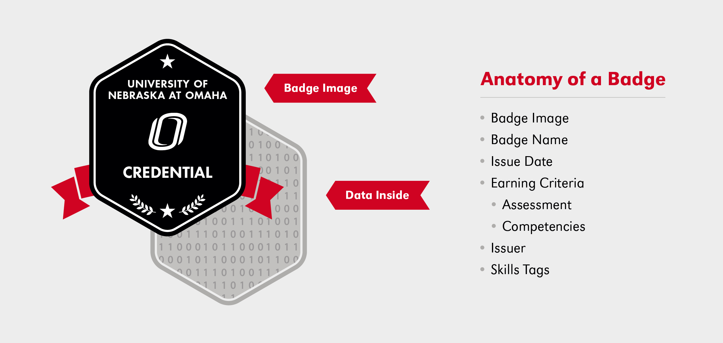 Badge anatomy illustration 