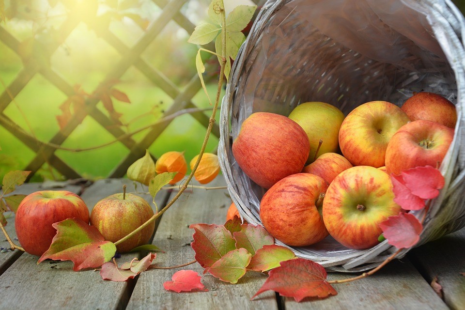 applejack pumpkin fall festival