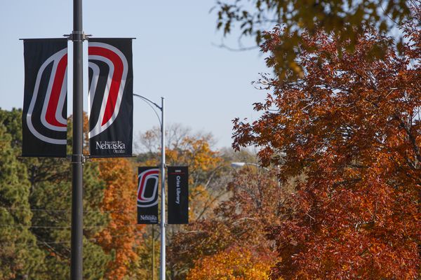 campus banners