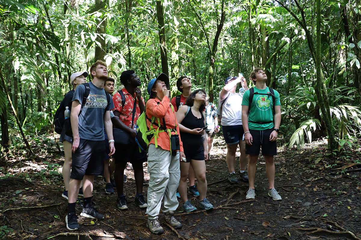a group of students cluster around a tour guide, surrounded by trees in a rainforest setting.