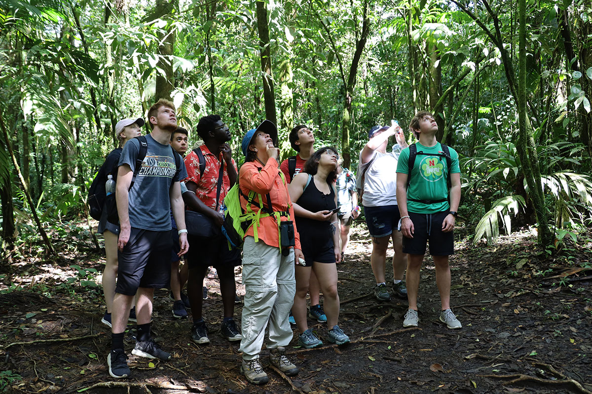a group of students cluster around a tour guide, surrounded by trees in a rainforest setting.