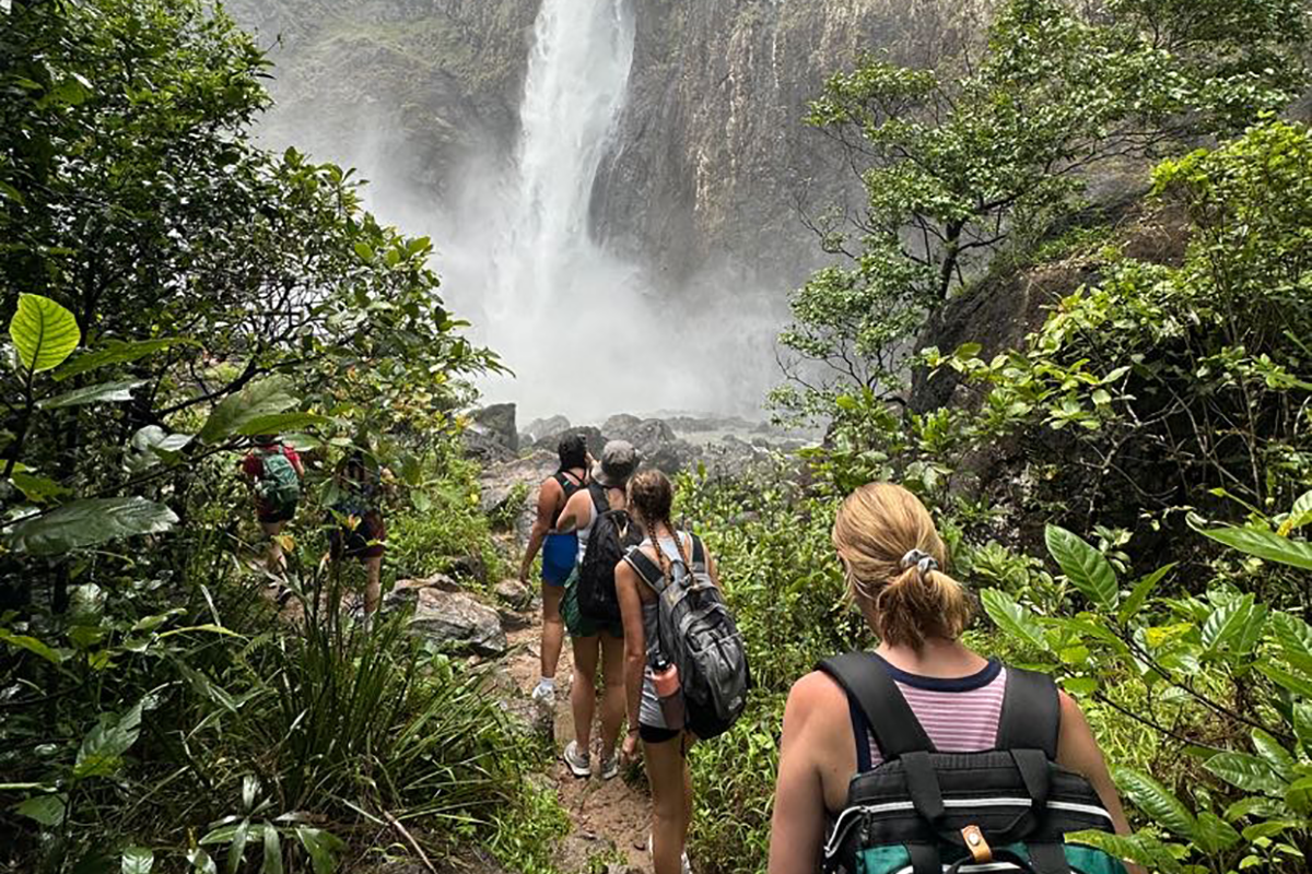 Students walk towards a waterfall through lush greenery, facing away from the camera