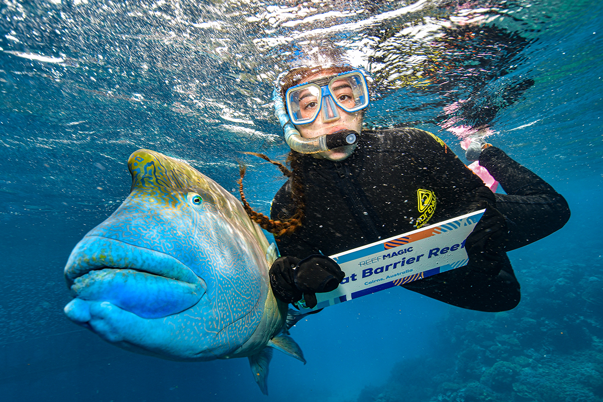 Novalee, a UNO student, snorkels underwater with a Wrasse. 