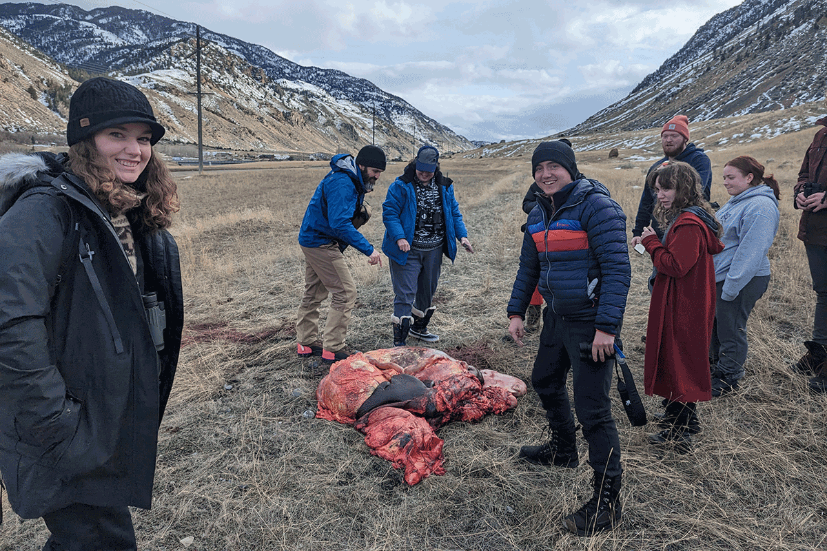 UNO students and faculty work on a project outside at Yellowstone National Park