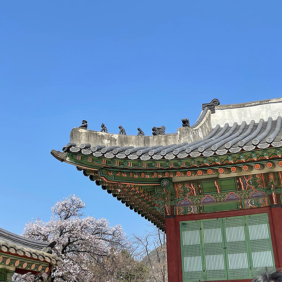 A brightly painted traditional Korean roof top