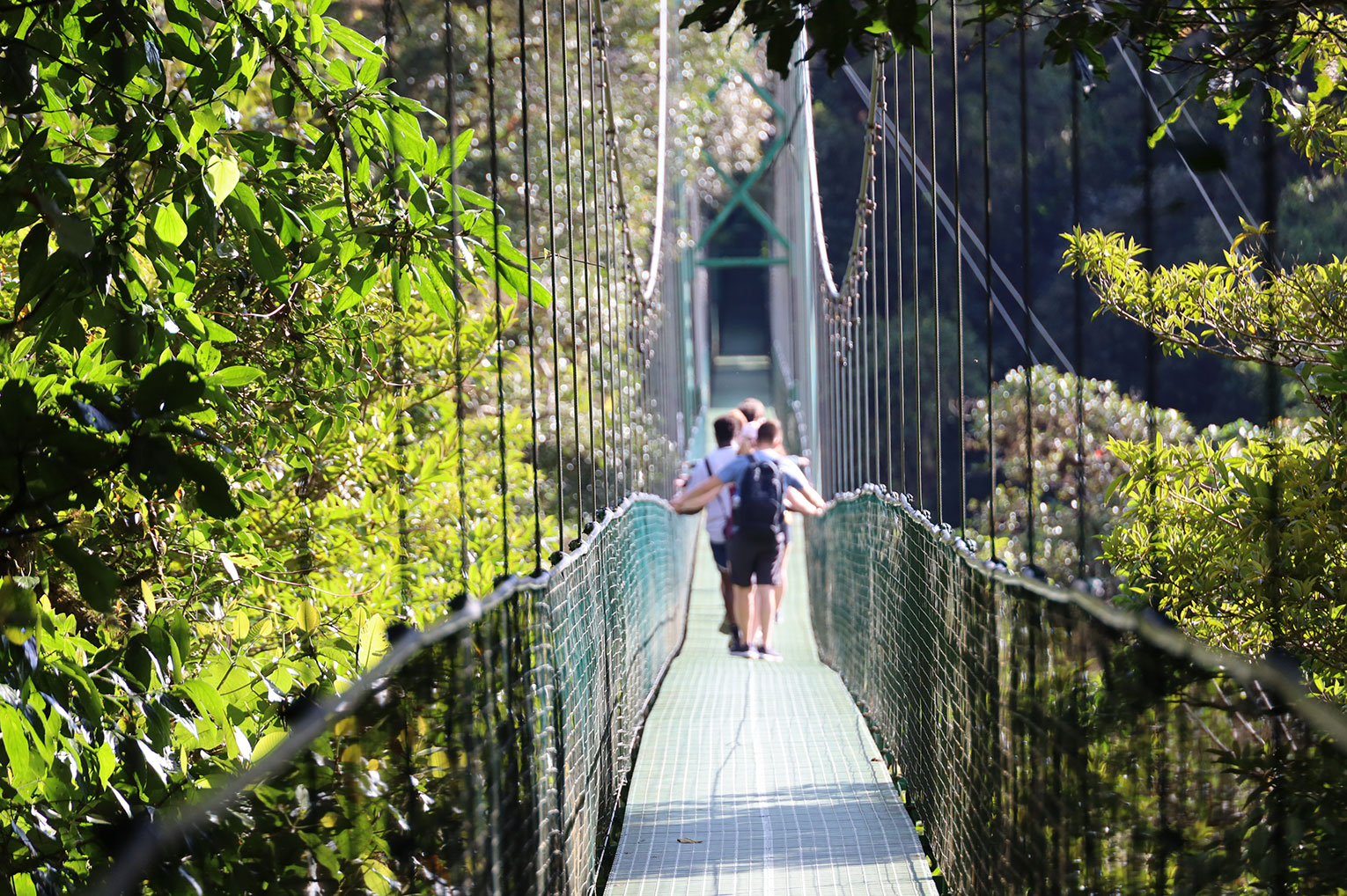 UNO Students walk through the treetops in Costa Rica on a hanging bridge