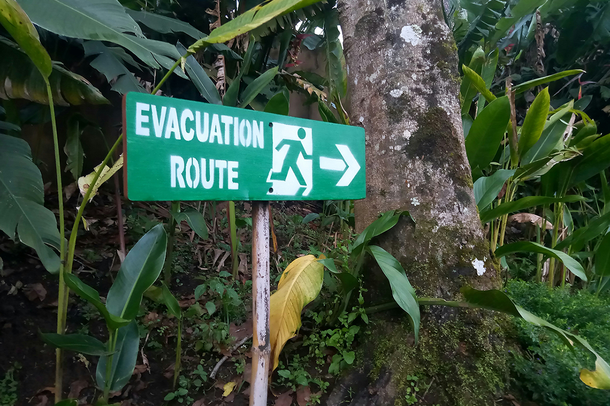 Green and white evacuation route sign in a jungle