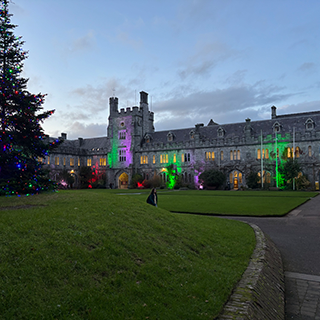 Grey stone building with Christmas lights on both the building and nearby large pine tree.