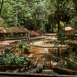 Some small buildings and a staircase surrounded by thick jungle foilage.
