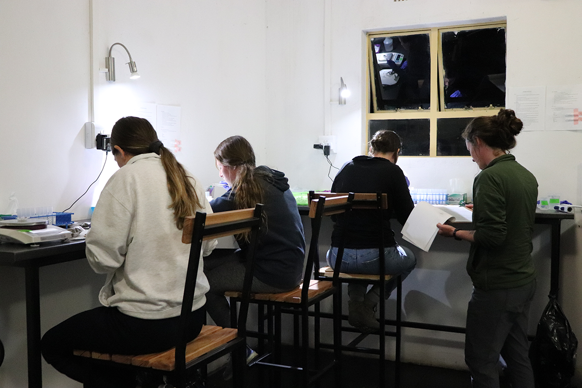 four students work in a research lab in South Africa