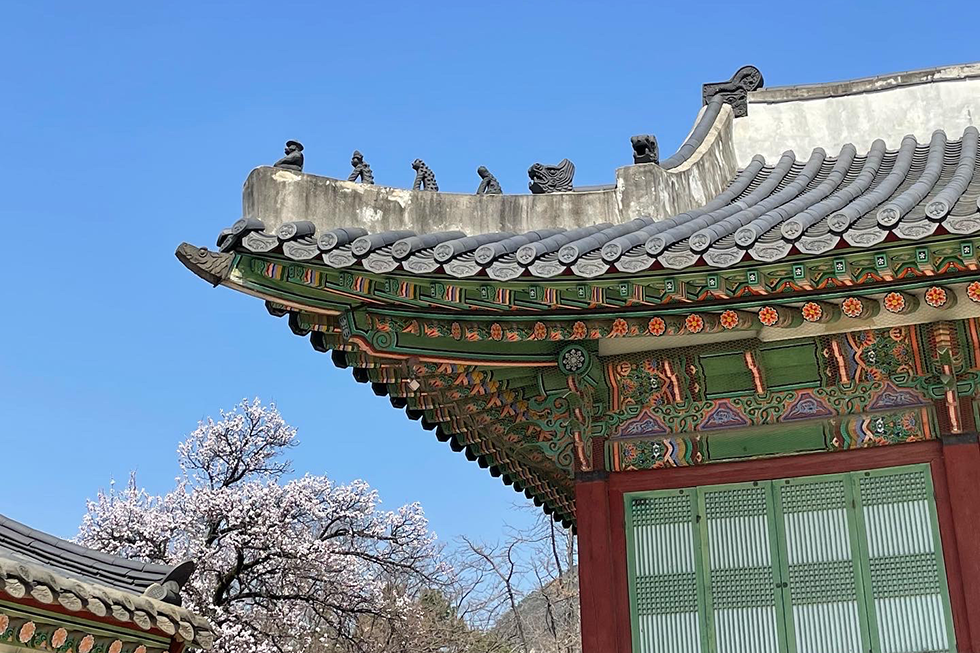 Blue sky behind a traditionally painted building and rooftop in Korea.