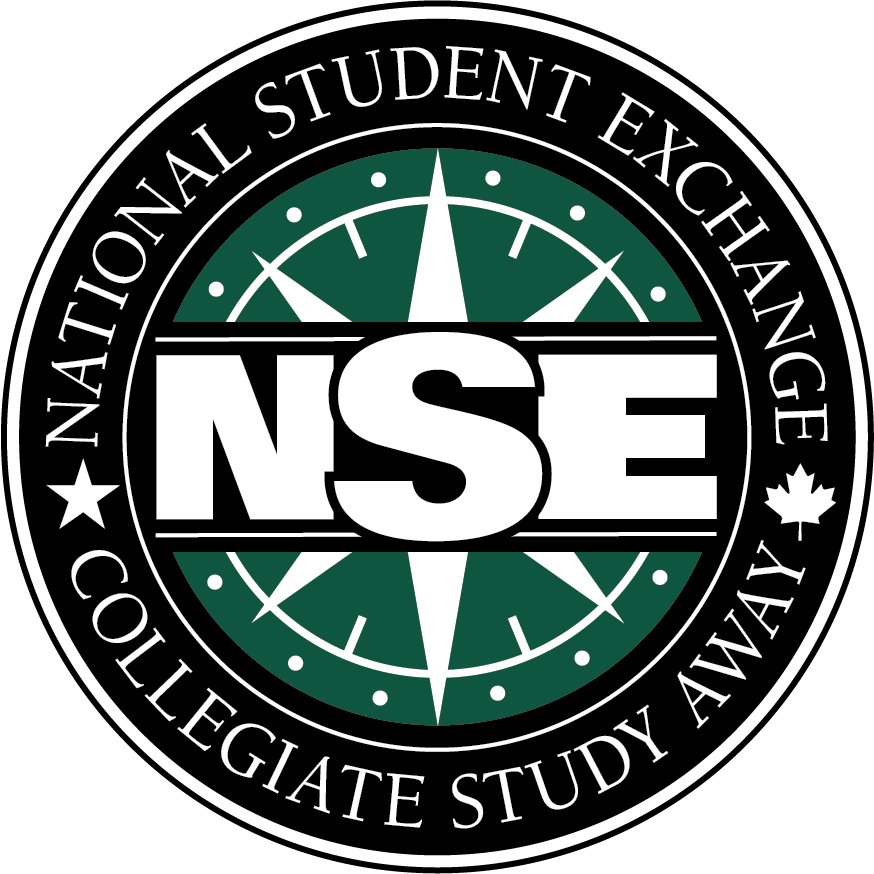 NSE YouTube Channel icon