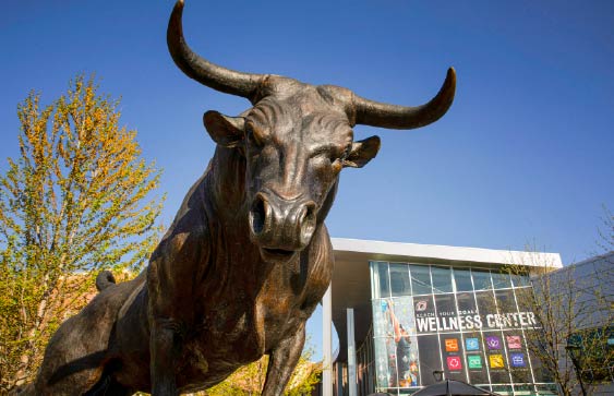 Bronze Maverick bull statue in the foreground outside the University of Nebraska at Omaha's Wellness Center on a clear day, with the building's glass entrance and wellness signage visible in the background.