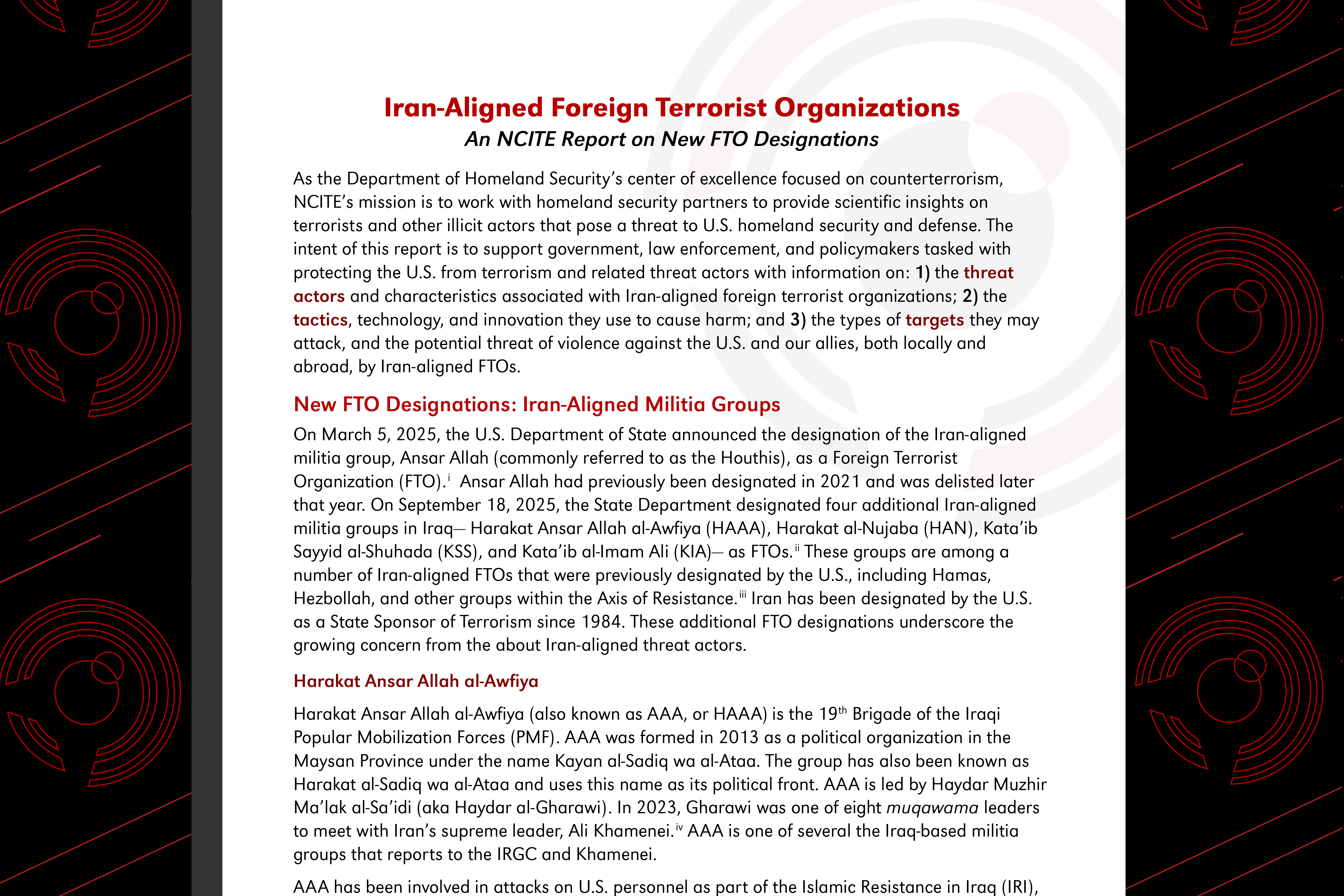 An image of the first page of the NCITE rapid report with an NCITE background logo on either side. 