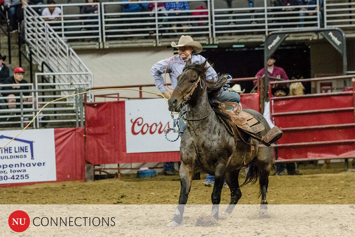 Person on horse at rodeo.