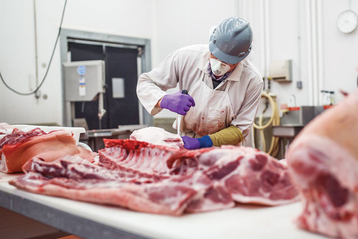 Meat processing facility; person wearing hard hat and gloves cutting meat with knife.