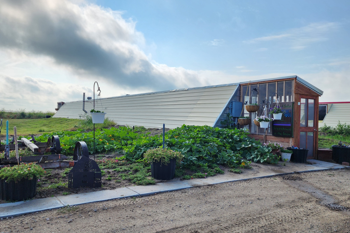 Greenhouse kit example in a green yard