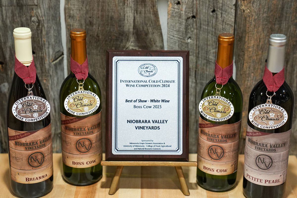 Four bottles of award-winning wine from Niobrara Valley Vineyards are displayed with medals and a plaque. The plaque reads “Best of Show – White Wine, Boss Cow 2023” from the 2024 International Cold Climate Wine Competition. The wines shown include Brianna, Boss Cow (two bottles), and Petite Pearl, each adorned with a competition medal.