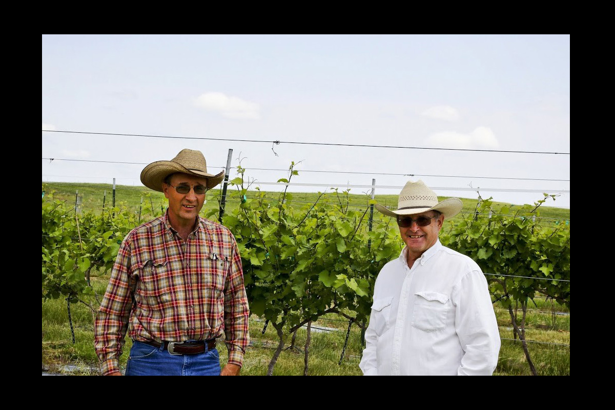 Two men wearing cowboy hats and sunglasses stand in front of grapevines at a vineyard on a sunny day. One wears a plaid shirt and jeans, the other a white button-down shirt. Rows of grapevines stretch into the background under a wide, open sky.