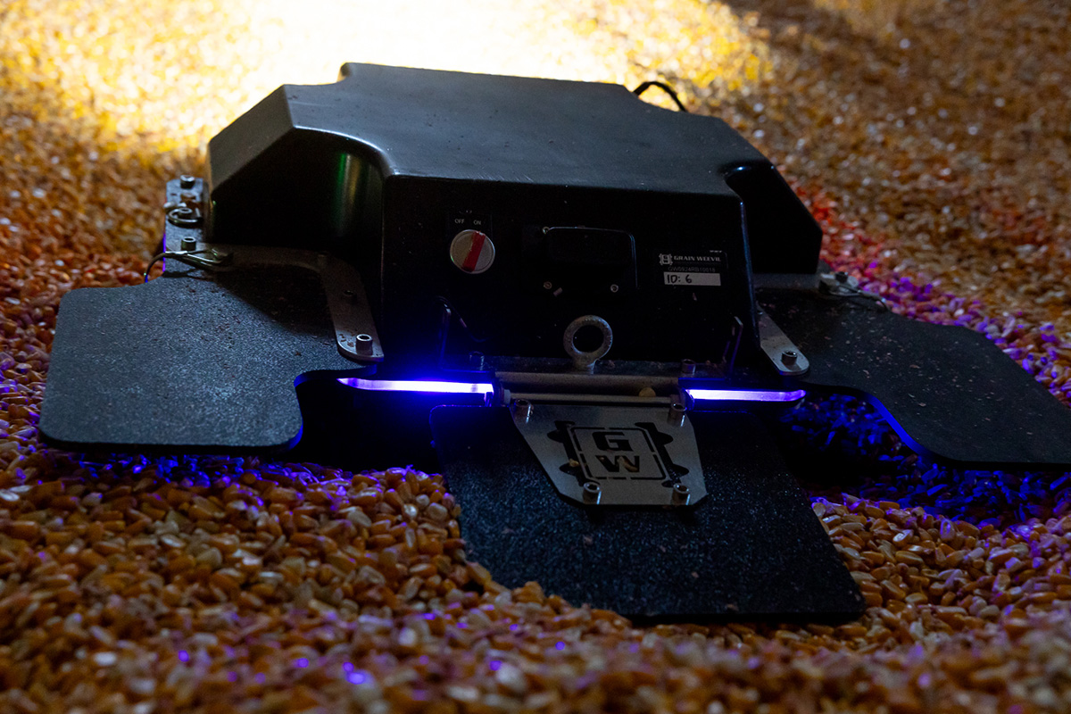 Close-up of an autonomous device with blue LED lights moving across a surface covered in corn kernels, likely inspecting or monitoring stored grain.
