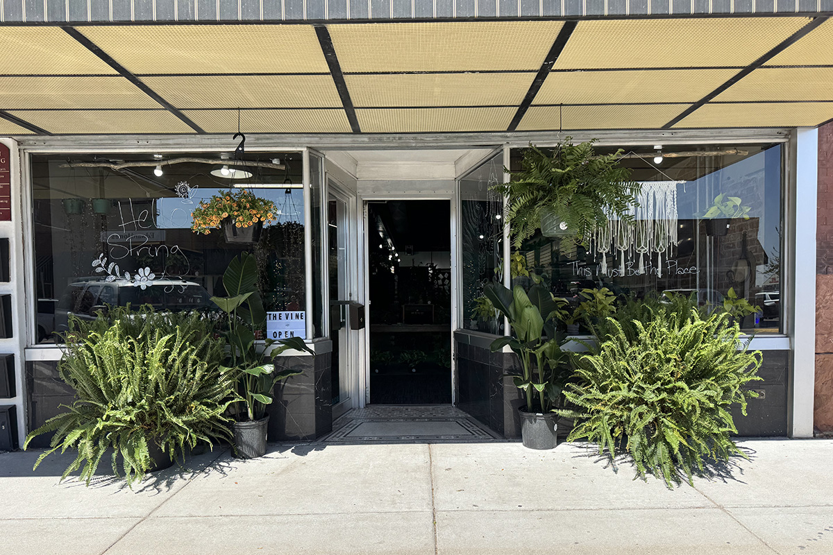 Exterior of a plant shop with large display windows, hanging ferns, and lush potted ferns and tropical plants flanking the entrance. Handwritten window art reads "Hello Spring," and a small sign near the doorway says "The Vine Open."