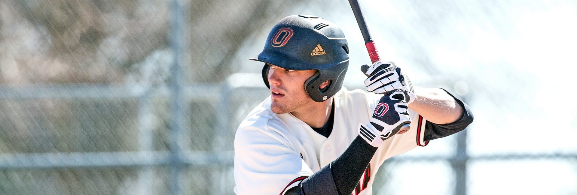 baseball photo