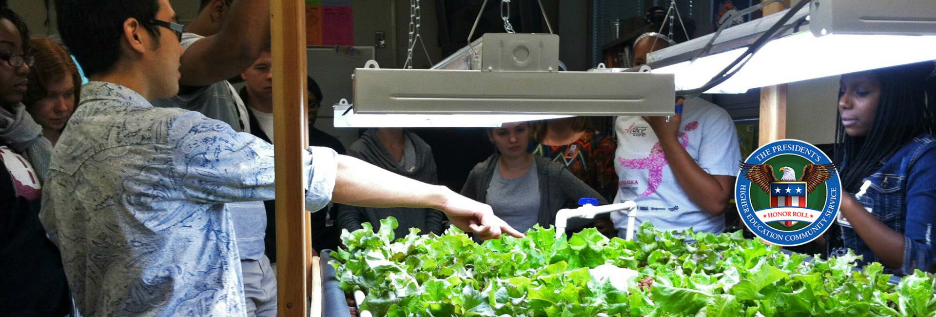 Students experimenting with aquaponics