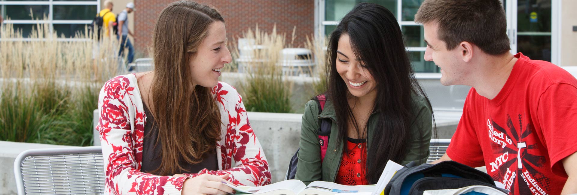 Students study outside of Mammel Hall