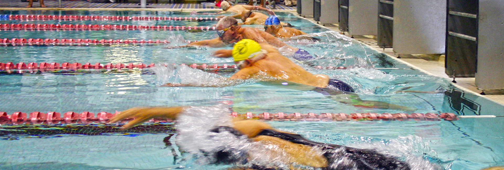 Veterans compete in a 25-yard freestyle heat during the 2015 Veterans Golden Age Games