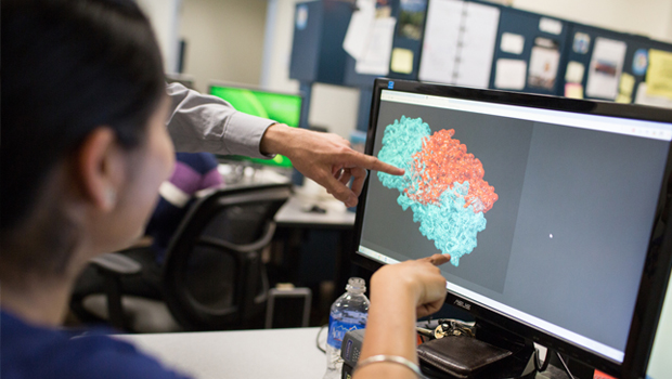 A Bioinformatics student studies a visual model with a faculty member.