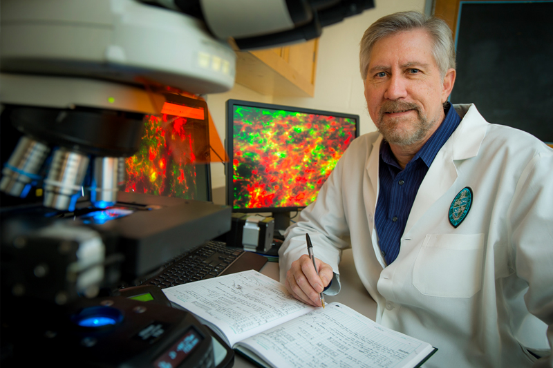 James Zadina, VA senior research career scientist and professor of medicine, pharmacology and neuroscience at Tulane University School of Medicine. Image courtesy Tulane Public Relations.