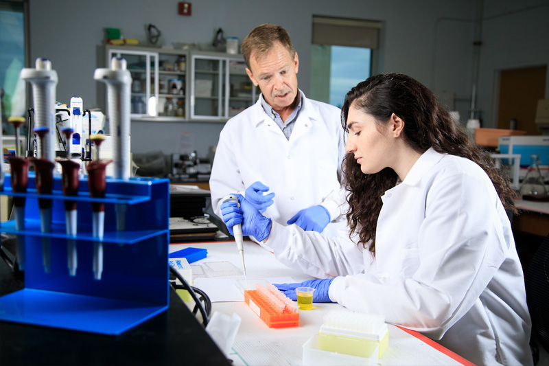 UNO doctoral student Sarah Carp prepares samples for an enzyme immunoassay, a test that measures hormone concentrations. Jeff French, Varner Professor of Psychology and Neuroscience, is serving as a mentor on her research.