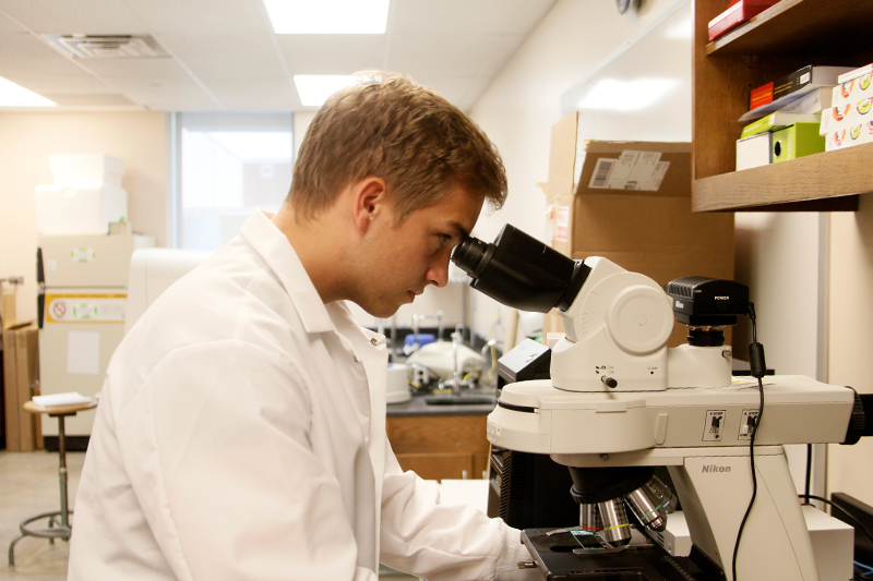UNO student Matthew Baker examines a slide in Dr. Ryan Wong's lab