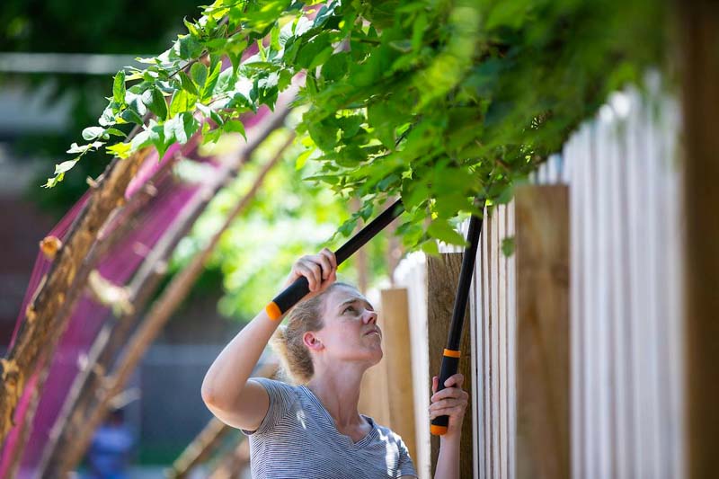 UNO assistant professor Laura Alexander clips branches